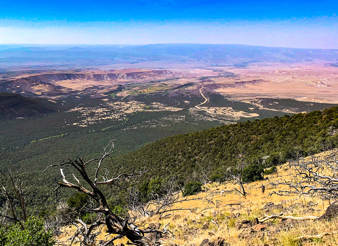 View of Grand Valley Wine Country from the Palisade Plunge mountain bike trail 